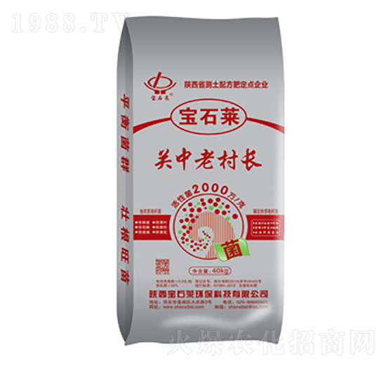 關(guān)中老村長(zhǎng)-寶石萊