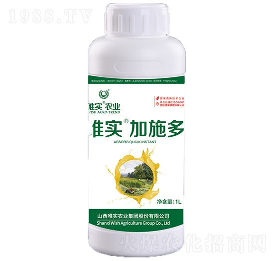 唯實(shí)·加施多