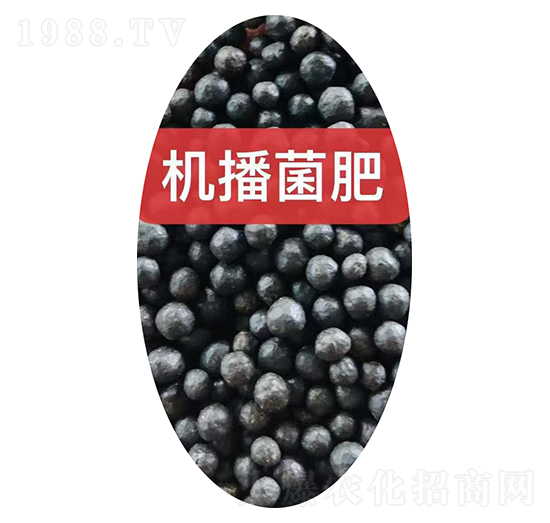 機播菌肥顆粒-中農(nóng)