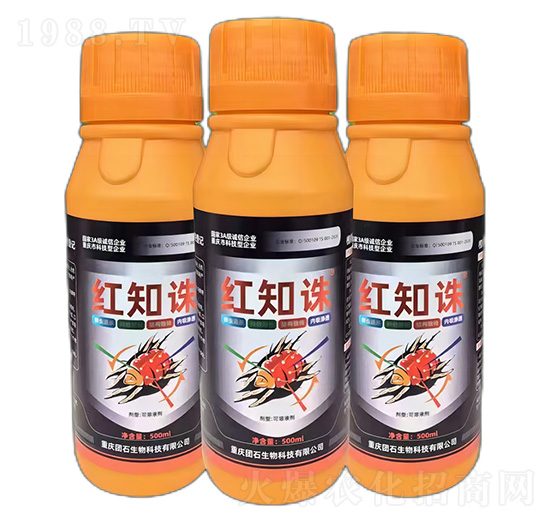 槐糖脂螨類專用增效劑-紅知誅-團石生物
