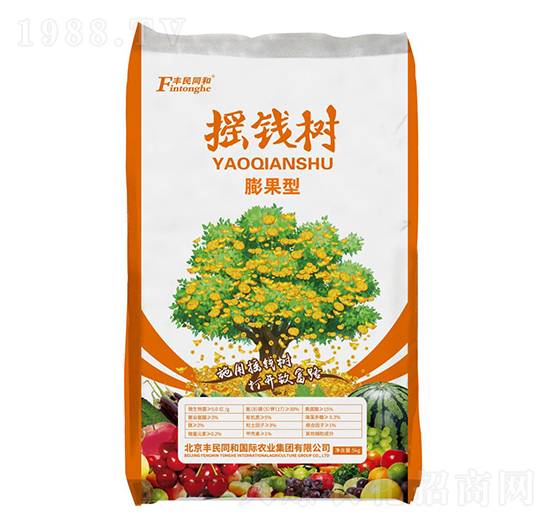搖錢樹膨果型-和潤農(nóng)業(yè)