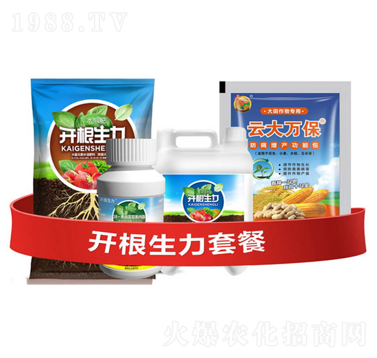 開(kāi)根生力套餐A-云大科技