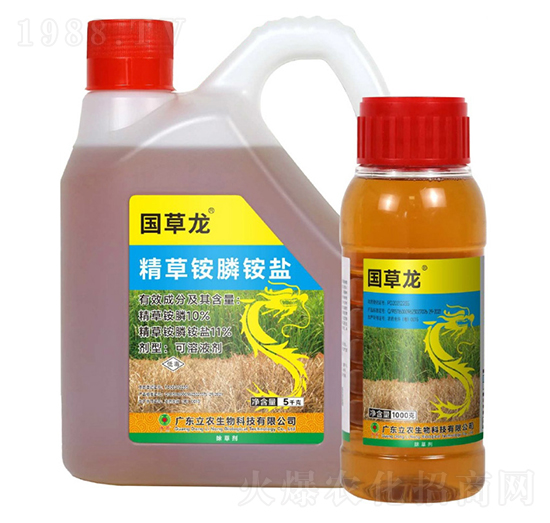10%�����@�-������-�V�|���r