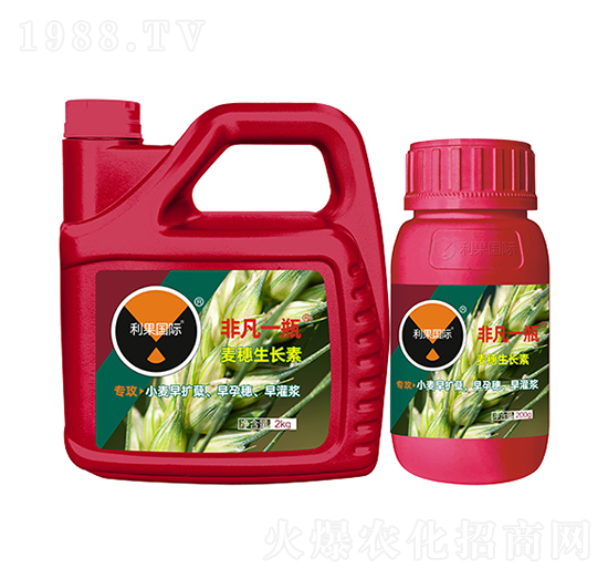 非凡一瓶·麥穗生長素-利果國際