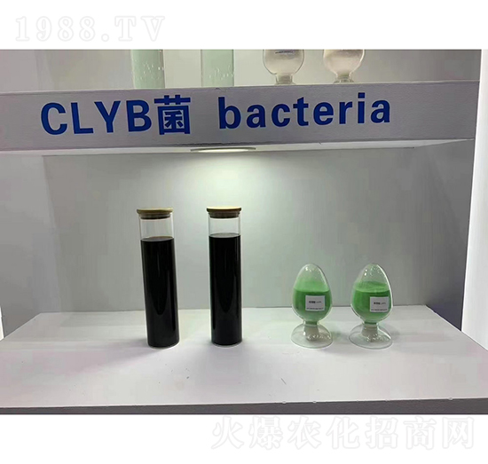 CLYB菌-生益生物