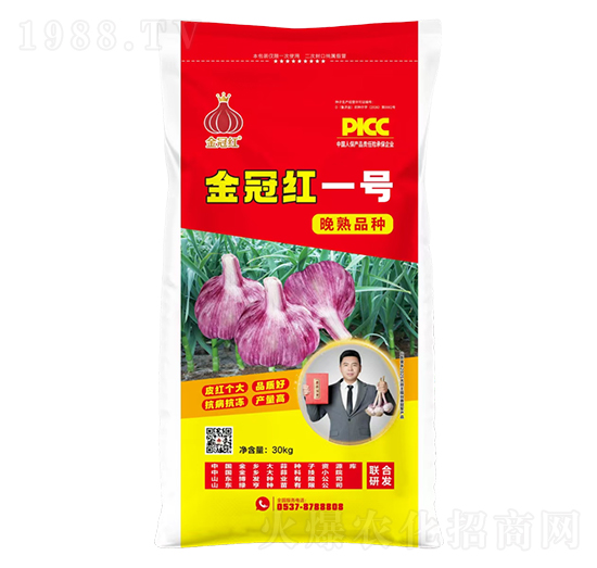 金冠紅一號(hào)晚熟品種-魯金豆