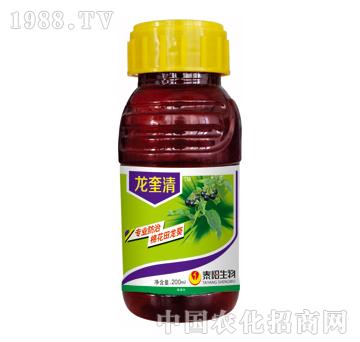 龍奎凈-泰陽