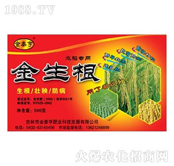 金泰亨-金生根