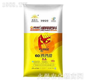 ��ጷ���20-20-2