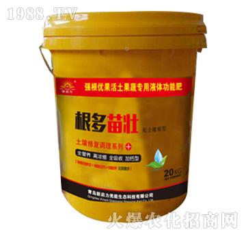 �������-�����ޏ�(f��)�{(di��o)��