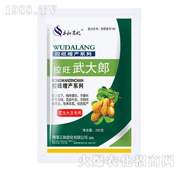 �����󶹌���-���������-�읙(r��n)����