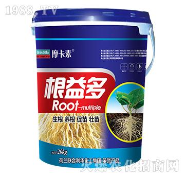 根益多-摩卡素-強芯國際