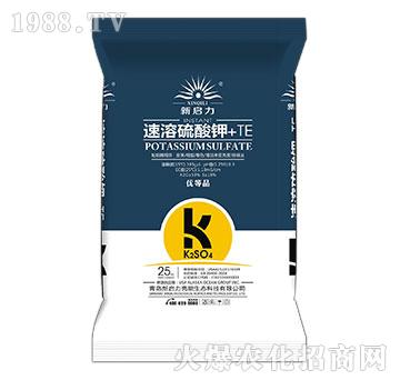 ���������+TE-��