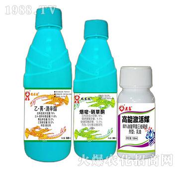 �ҡ�ݬ��������+���ס�