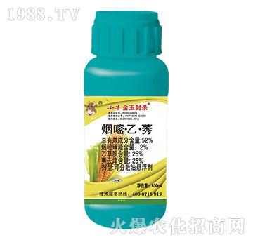 52%���ס��ҡ�ݬ-С