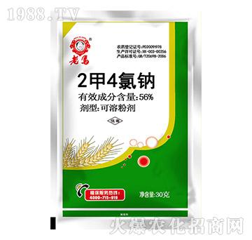 56%2��4�ȼ{-���R