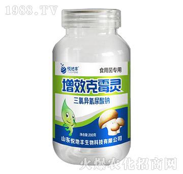 ʳ�þ�����-��Ч��ù�`-�����S