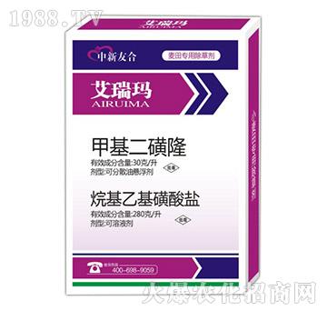 �׻�����¡+����һ������}-����-�����Ѻ�