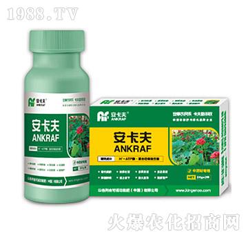 中藥材專用葉面肥-安卡夫