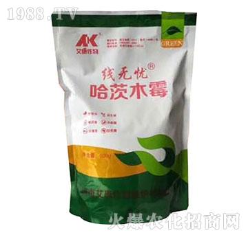 哈茨木霉-線無(wú)憂-艾康作物