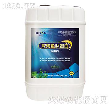 ��~�ĵ���-�˰ſ�