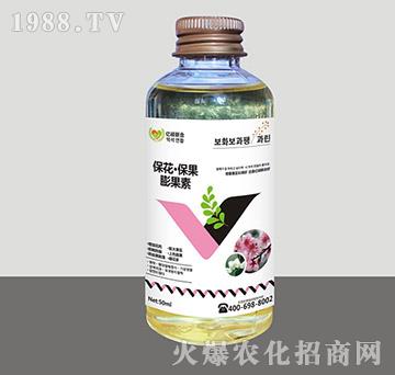 ���������������-�R�Sֲ��