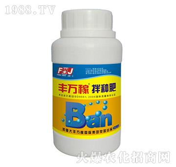 �V�V�Ͱ�N��-�S�f(w��n)��