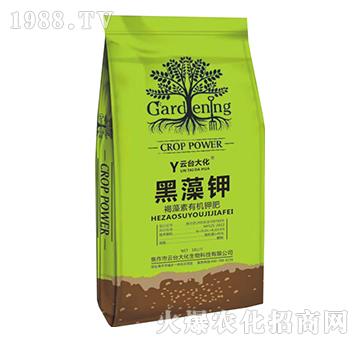 �������ЙC(j��)⛷�-�����-���_��