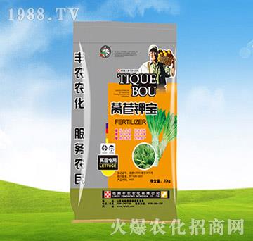 萵苣專用肥-萵苣鉀寶-豐農(nóng)農(nóng)化