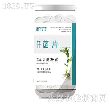 �ݲ�ѿ�ߗU��-Ǫ��Ƭ-��٤�z