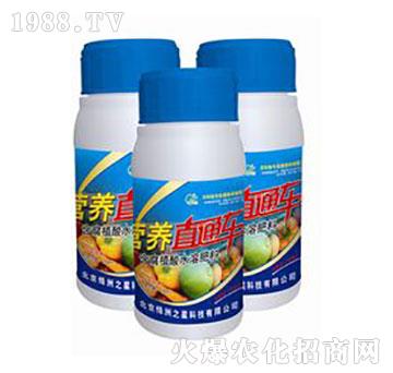 �I�B(y��ng)ֱͨ܇-�G��֮��