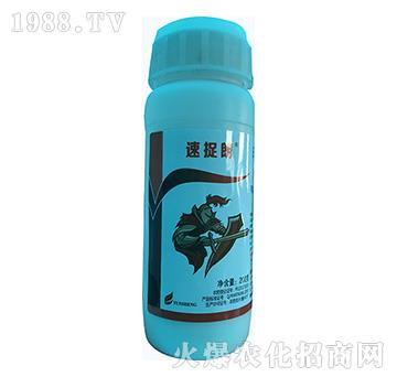 12%�׾S���x����-��׽��-�\(y��n)ʢ����