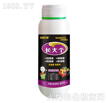 長大個-喜臨萬稼-艾普生