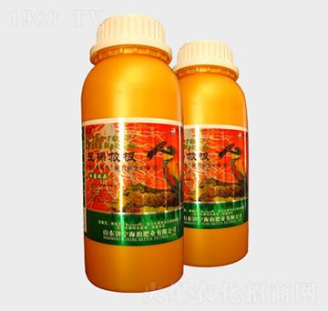 �t(y��)�þȸ��~���-��퍷�