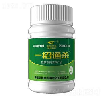 一招通殺-聯(lián)邦嘉吉