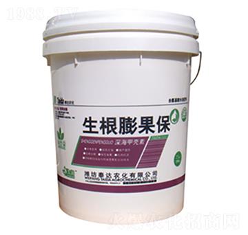 ��ך���-���������