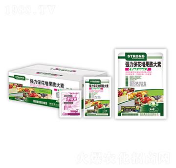 �����������������-̩