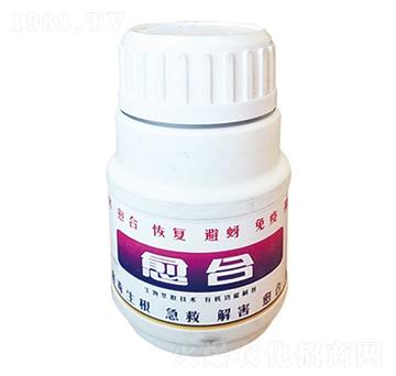 �����ޏ�(f��)��-����-����