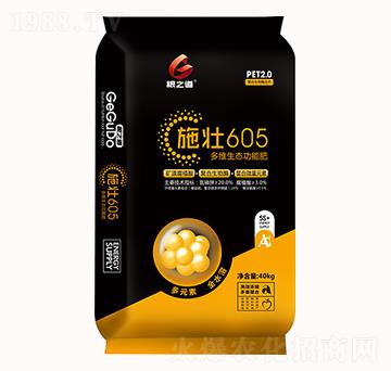 ��S���B(t��i)���ܷ�-ʩ��605-��֮��