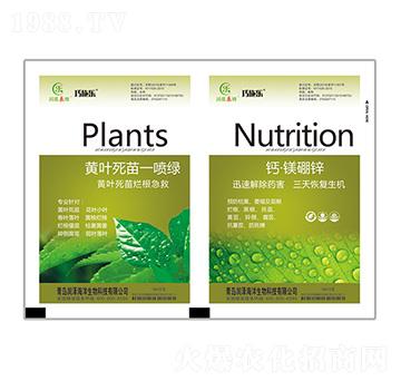 黃葉死苗一噴綠+鈣·鎂硼鋅-貝能生物