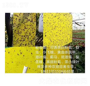 ճ�x�� ���r(n��ng)����