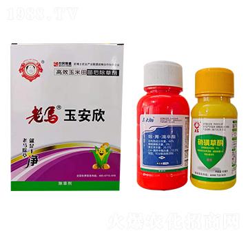 44%����ݬ��������+