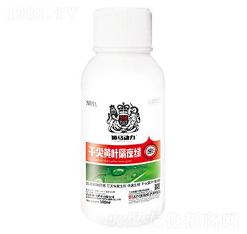 干尖黃葉隔夜綠-獅馬肥業(yè)