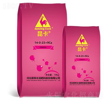 ����14-0-23+9