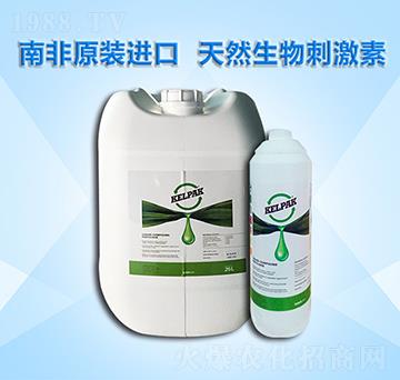 開(kāi)普-農(nóng)巧施