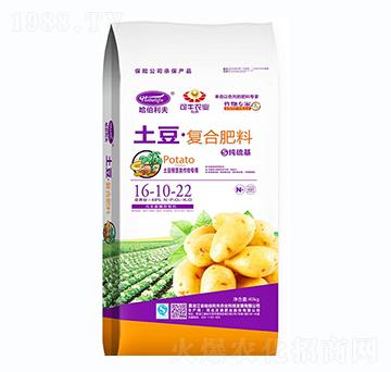 純硫基土豆復合肥料16-10-22-哈伯利夫