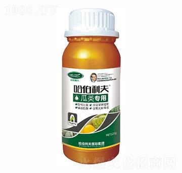 瓜類(lèi)專用-哈伯利夫