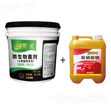 水稻返青專用微生物菌劑-得必隆-農(nóng)墾久豐