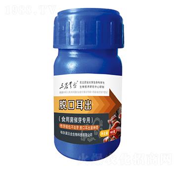 食用菌催芽專(zhuān)用-脫口耳出-云臺(tái)