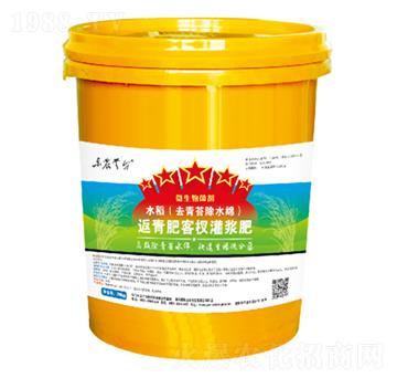 水稻返青柯杈灌漿肥-云臺